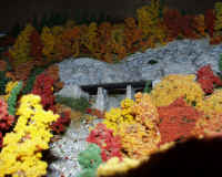 nscale000.JPG (295285 bytes)