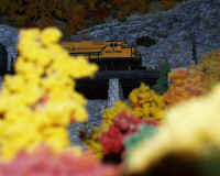 nscale001.JPG (207739 bytes)