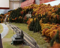 nscale004.JPG (258505 bytes)