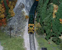 nscale005.JPG (313176 bytes)