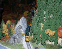 nscale006.JPG (285950 bytes)