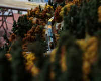 nscale009.JPG (174165 bytes)