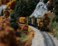 nscale010.JPG (174570 bytes)