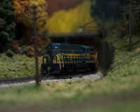 nscale013.JPG (169560 bytes)