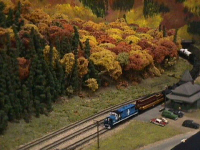 nscale_01.jpg (69482 bytes)